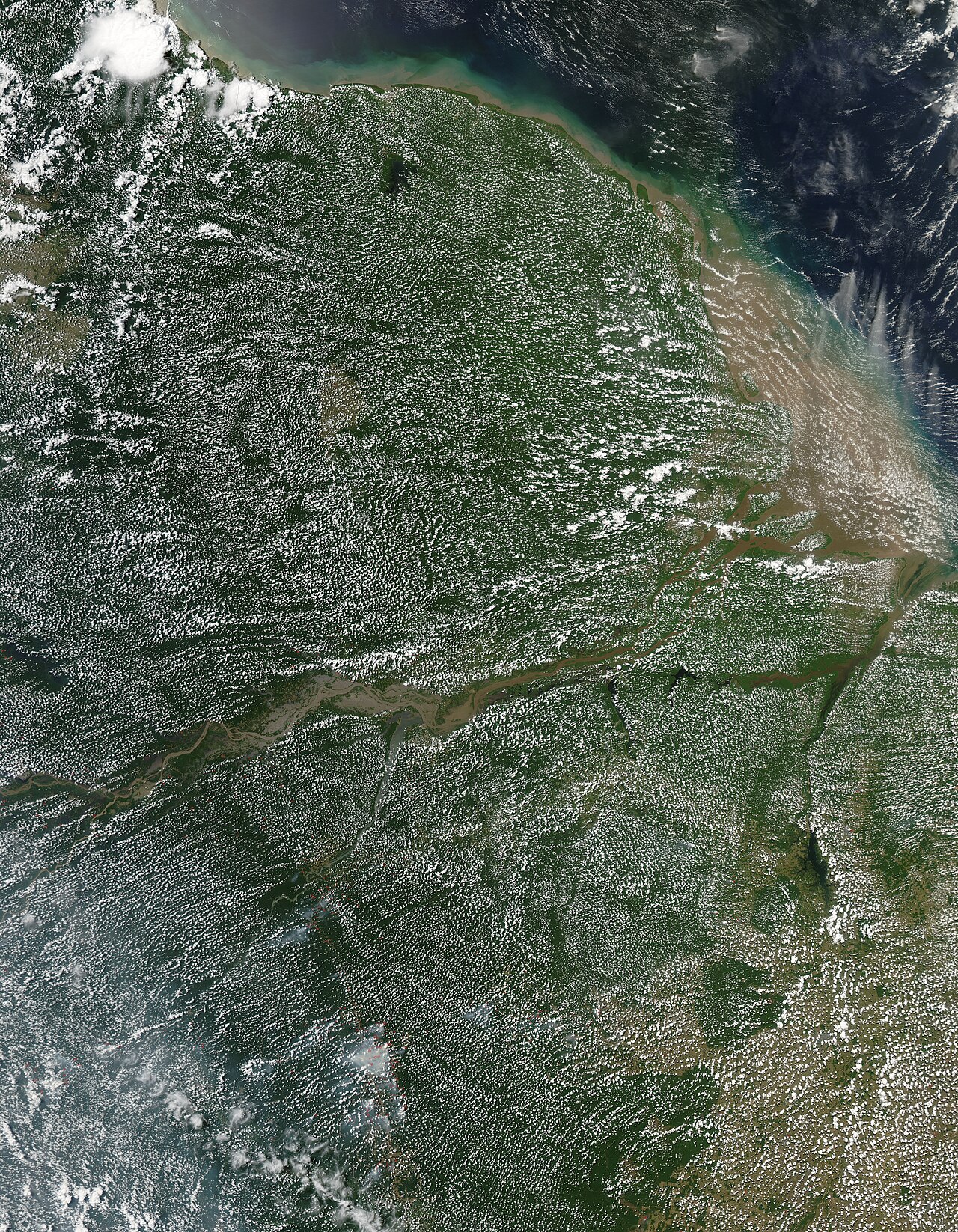 Wolken über dem Amazonas-Regenwald, Satellitenaufnahme der NASA.