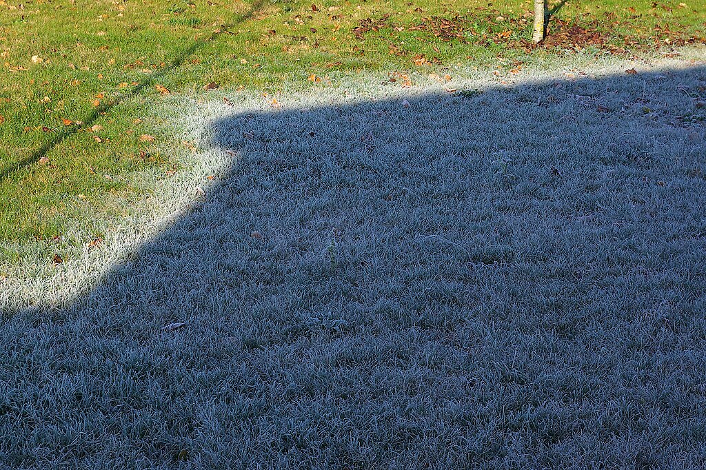 Raureif am frühen Morgen, schmilzt in der Sonne