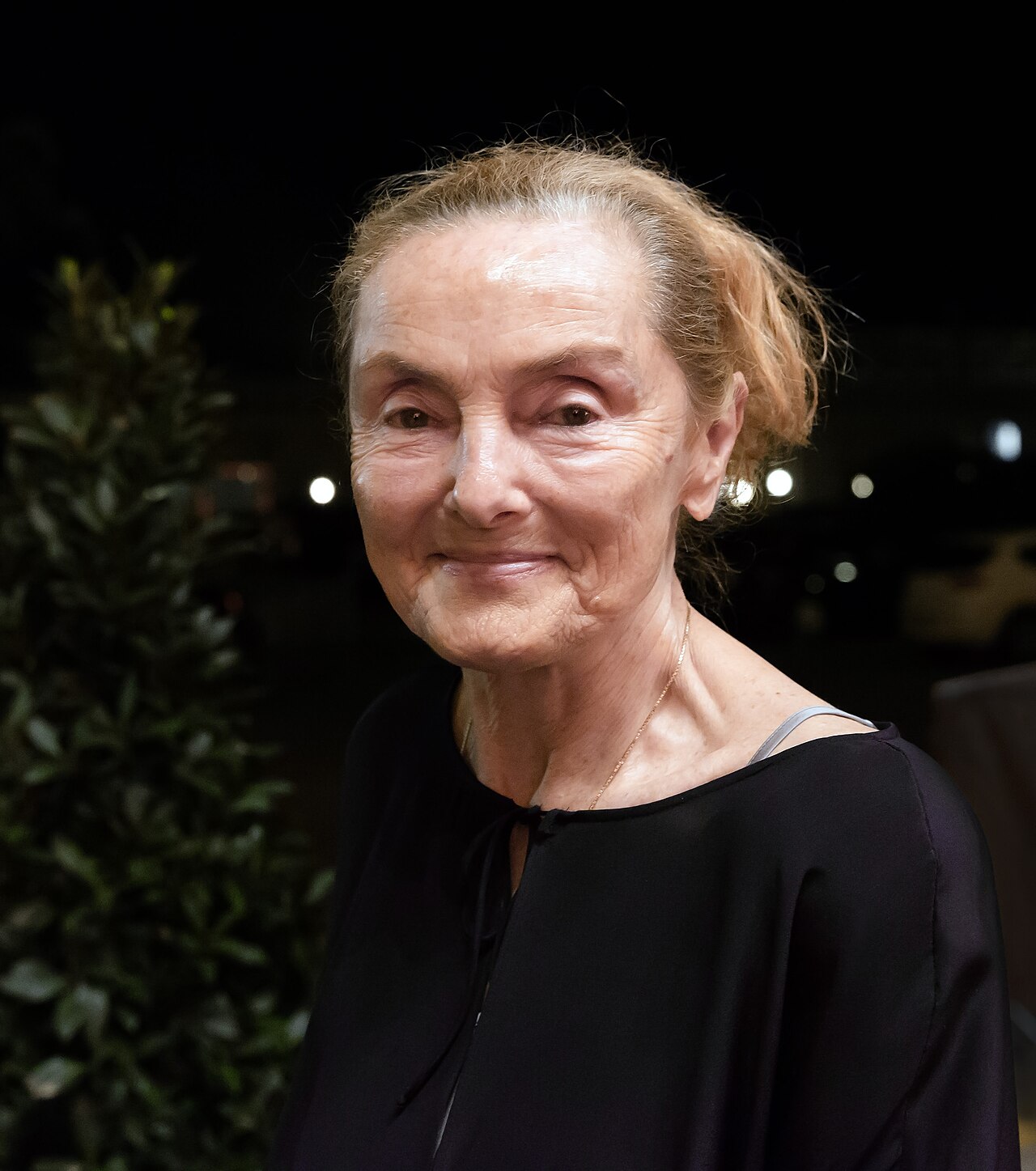 Erni Mangold auf dem roten Teppich der Romy-Verleihung 2015 in der Wiener Hofburg