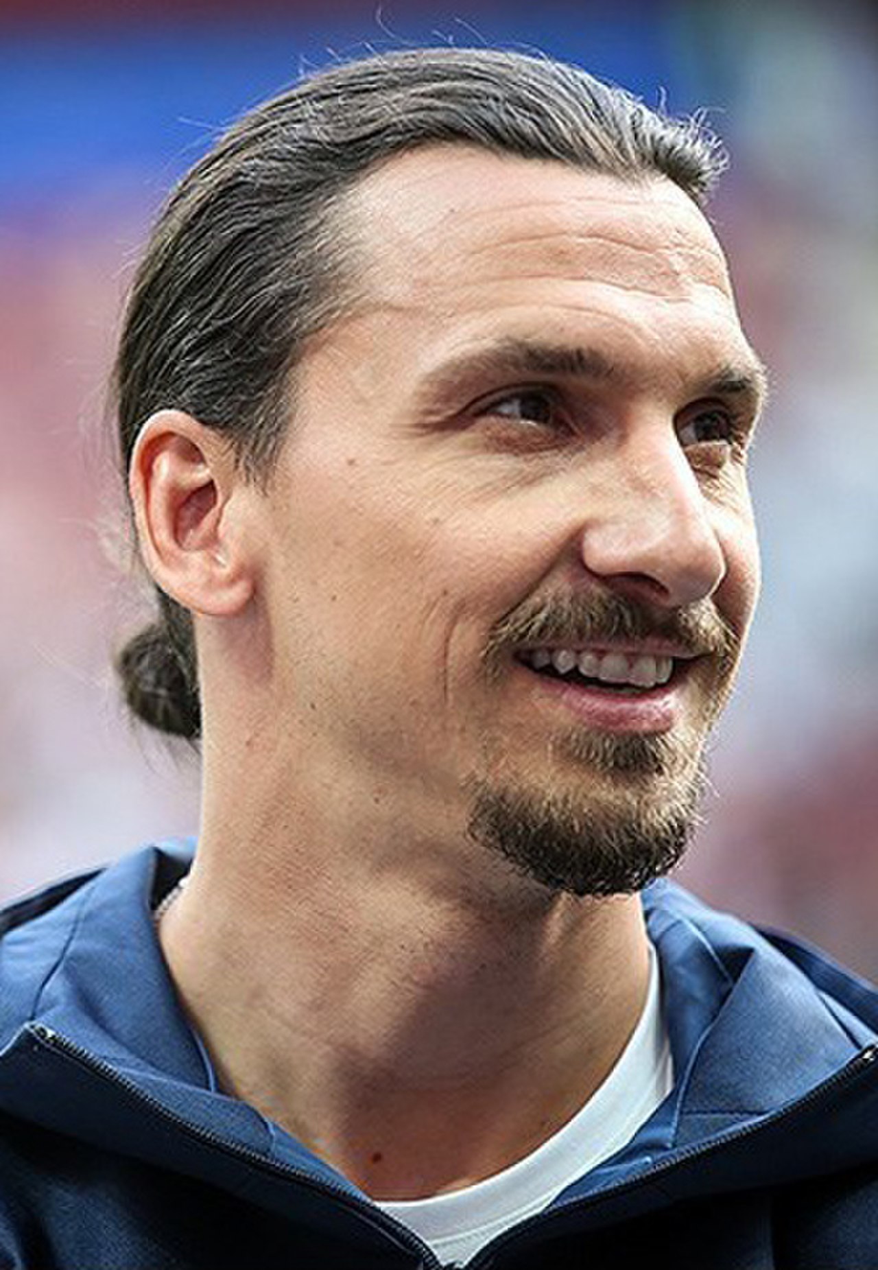 Zlatan Ibrahimović in einem Trikot der schwedischen Nationalmannschaft, aufgenommen im Juni 2018.